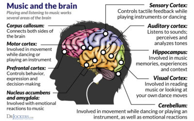 Music and the Brain. Listen Closely.