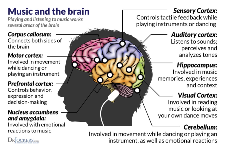 Music and the Brain. Listen Closely. - Guardian Nurses Healthcare Advocates