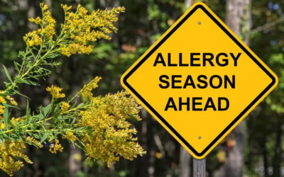ACHOOOO!!!!  It’s Allergy Season!